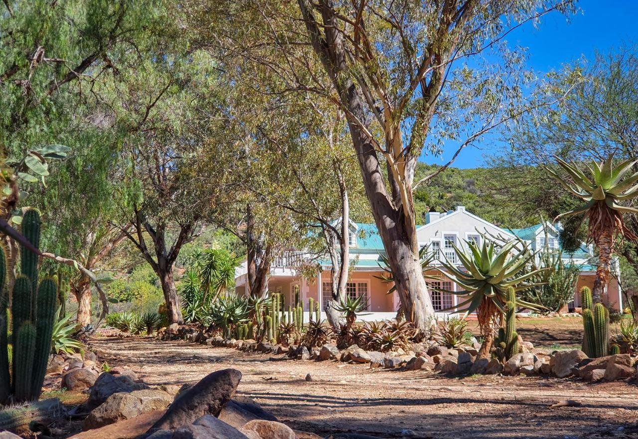 Berluda Farmhouse And Cottages Oudtshoorn Bagian luar foto