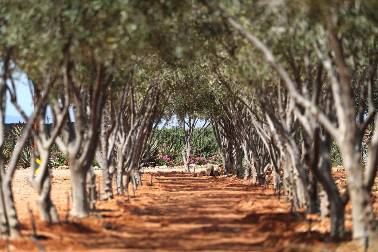 Berluda Farmhouse And Cottages Oudtshoorn Bagian luar foto
